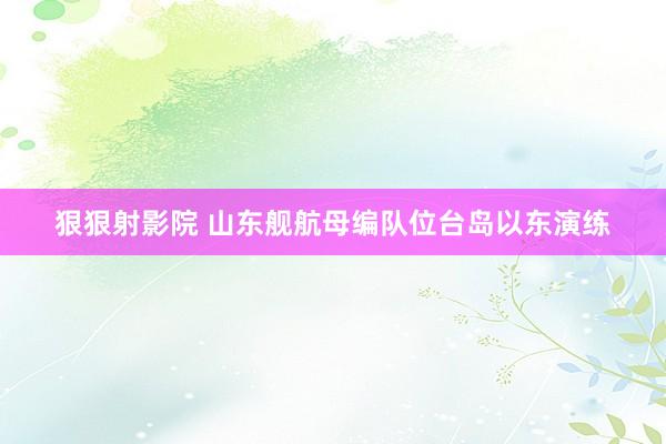 狠狠射影院 山东舰航母编队位台岛以东演练