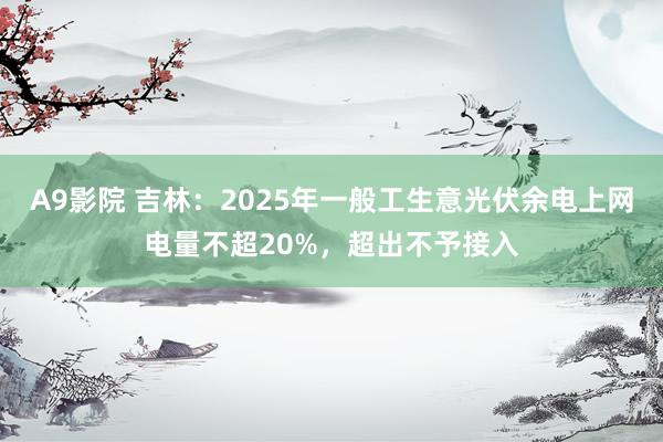 A9影院 吉林：2025年一般工生意光伏余电上网电量不超20%，超出不予接入