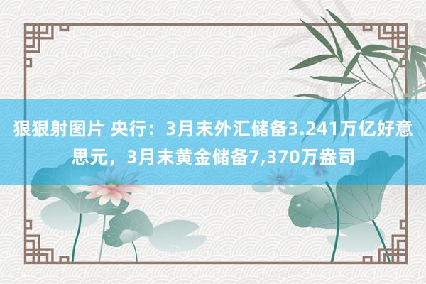狠狠射图片 央行：3月末外汇储备3.241万亿好意思元，3月末黄金储备7,370万盎司