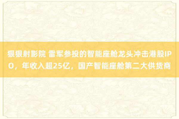 狠狠射影院 雷军参投的智能座舱龙头冲击港股IPO，年收入超25亿，国产智能座舱第二大供货商