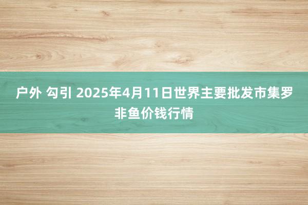 户外 勾引 2025年4月11日世界主要批发市集罗非鱼价钱行情