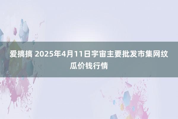 爱搞搞 2025年4月11日宇宙主要批发市集网纹瓜价钱行情