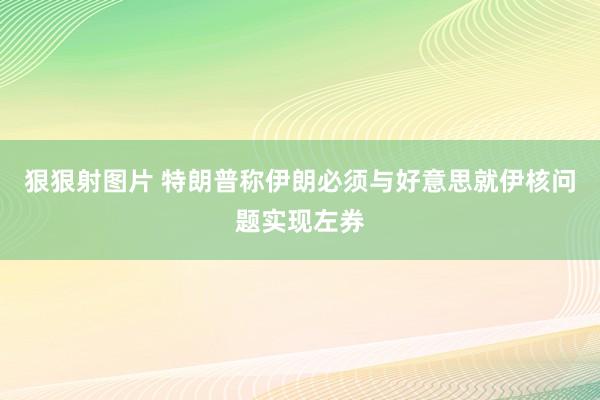 狠狠射图片 特朗普称伊朗必须与好意思就伊核问题实现左券