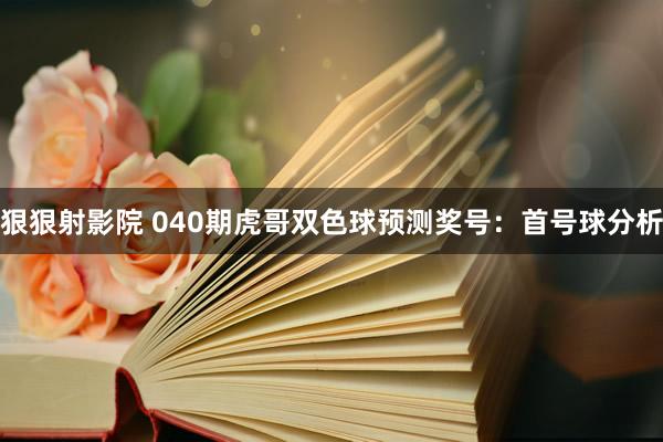 狠狠射影院 040期虎哥双色球预测奖号：首号球分析