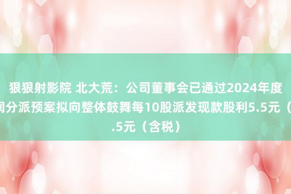狠狠射影院 北大荒：公司董事会已通过2024年度的利润分派预案拟向整体鼓舞每10股派发现款股利5.5元（含税）