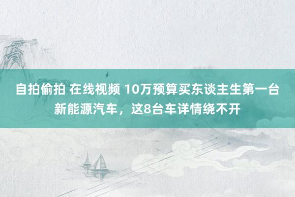 自拍偷拍 在线视频 10万预算买东谈主生第一台新能源汽车，这8台车详情绕不开