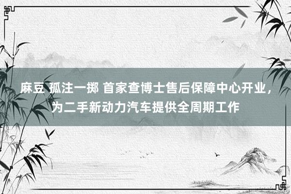 麻豆 孤注一掷 首家查博士售后保障中心开业，为二手新动力汽车提供全周期工作