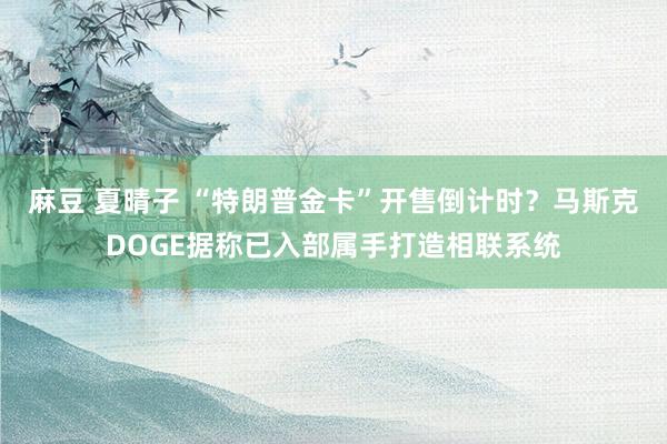 麻豆 夏晴子 “特朗普金卡”开售倒计时？马斯克DOGE据称已入部属手打造相联系统