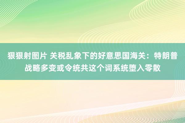 狠狠射图片 关税乱象下的好意思国海关：特朗普战略多变或令统共这个词系统堕入零散