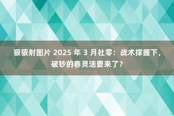 狠狠射图片 2025 年 3 月社零：战术撑握下，破钞的春灵活要来了？
