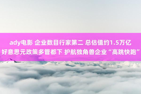 ady电影 企业数目行家第二 总估值约1.5万亿好意思元政策多管都下 护航独角兽企业“高跳快跑”