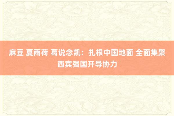 麻豆 夏雨荷 葛说念凯：扎根中国地面 全面集聚西宾强国开导协力