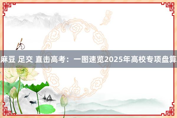麻豆 足交 直击高考：一图速览2025年高校专项盘算
