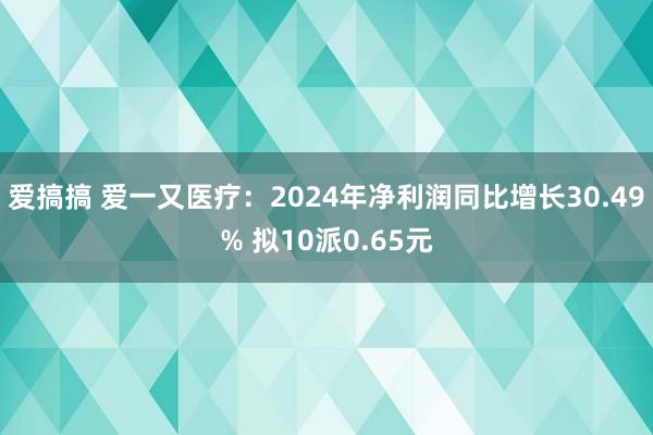 爱搞搞 爱一又医疗：2024年净利润同比增长30.49% 拟10派0.65元