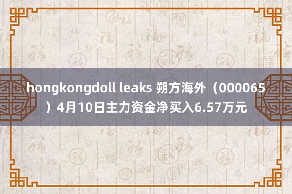 hongkongdoll leaks 朔方海外（000065）4月10日主力资金净买入6.57万元