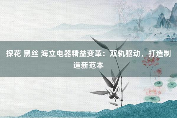 探花 黑丝 海立电器精益变革：双轨驱动，打造制造新范本
