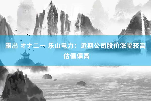 露出 オナニー 乐山电力：近期公司股价涨幅较高 估值偏高