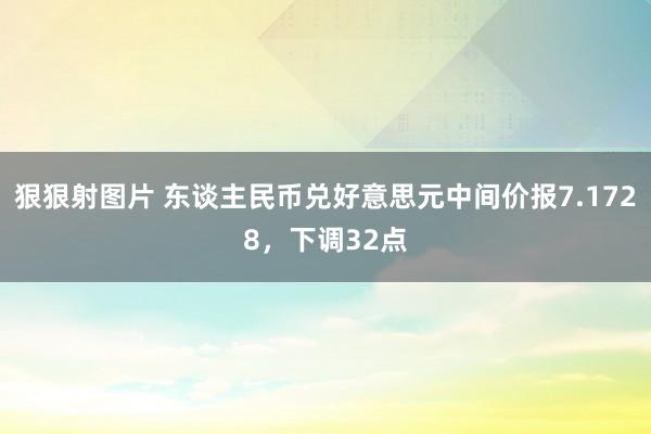 狠狠射图片 东谈主民币兑好意思元中间价报7.1728，下调32点