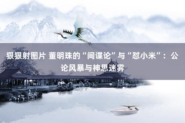 狠狠射图片 董明珠的“间谍论”与“怼小米”：公论风暴与神思迷雾