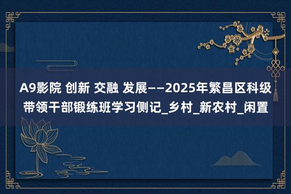 A9影院 创新 交融 发展——2025年繁昌区科级带领干部锻练班学习侧记_乡村_新农村_闲置