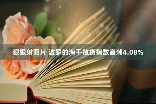 狠狠射图片 波罗的海干散货指数高潮4.08%