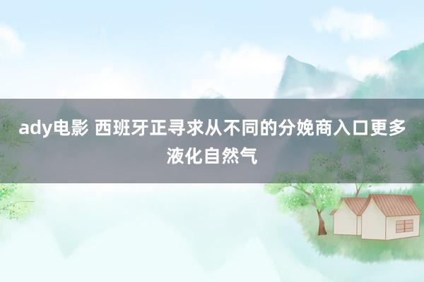 ady电影 西班牙正寻求从不同的分娩商入口更多液化自然气