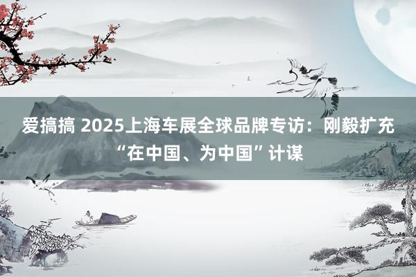 爱搞搞 2025上海车展全球品牌专访：刚毅扩充“在中国、为中国”计谋